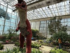 -沈阳植物园
