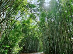 -海南热带野生动植物园