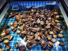 鲍鱼-圣罗巴海鲜自助(黑金店)