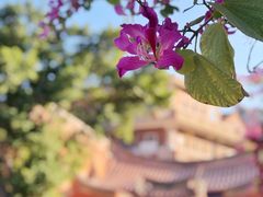 -晋江五店市传统文化旅游区