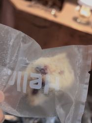 -苑苑发型设计