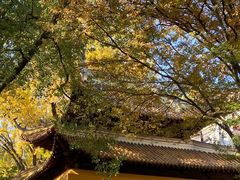 -狼山风景名胜区