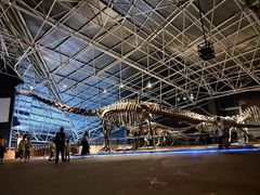 -世界恐龙谷景区