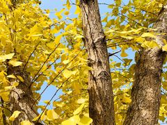 -杭州半山国家森林公园