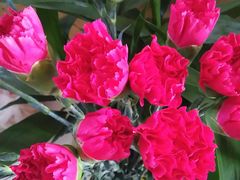 -魏家凉皮(马驹桥店)