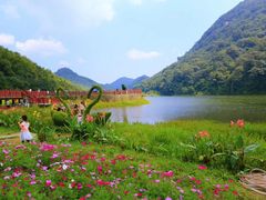 -广州市石门国家森林公园