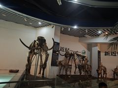 -烟台自然博物馆