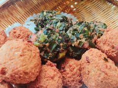 -食家鸽园