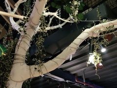 -别院里音乐餐酒吧(双流航空港店)