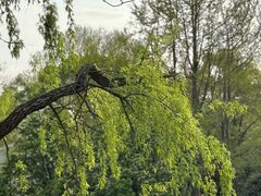 -共青国家森林公园-售票处