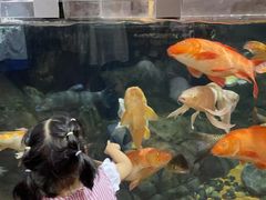 -上海海洋水族馆