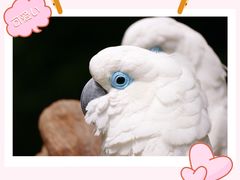 -上海野生动物园