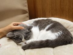 -IFIF 如果花園(宽厚里店)