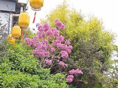 -水云间·园林餐厅(大龙店)