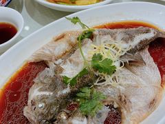 -双井轩(双井店)