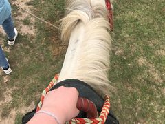 -合肥三国新城遗址公园