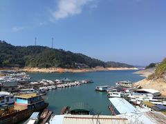 -河源万绿湖美思威尔顿酒店