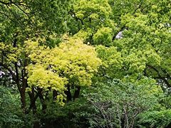 -徐家汇源景区-衡山公园