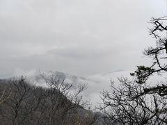 -王顺山国家森林公园