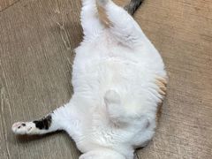 -黑胶星球(华发中城商都店)