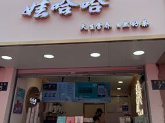 门面-娃哈哈·奶茶(武林店)