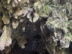 -怀托摩萤火虫洞