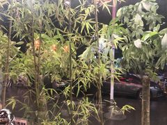 -乡吧啦·甲鱼铺子(海德二道店)