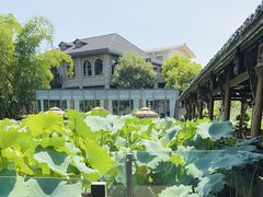 -莫催咖啡