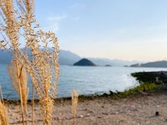 -小桂湾
