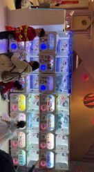 -meland club亲子乐园(石家庄万象城店)