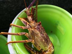 -徐记海鲜(梅溪新天地店)