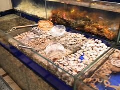 水产区-高佳庄·舟山海鲜(海景旗舰店)