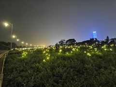 -深圳湾公园(南山区)