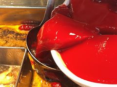 -红鼎坊·老成都火锅(新南门店)