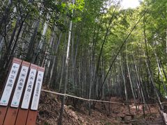 -穹窿山景区