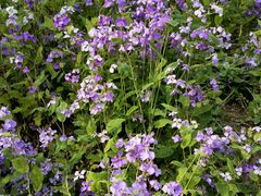 -雪山彩虹谷景区