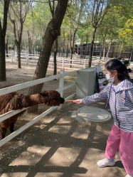 点击看大图 -优沃得自然教育农场·冰雪乐园·生日会·研学