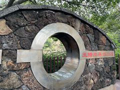 -王借岗森林公园