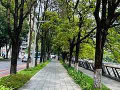 -四川大学(望江校区)
