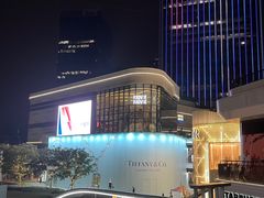 -东方体育中心(地铁站)