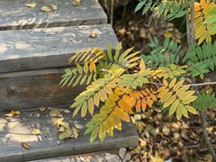 -白草畔自然风景区
