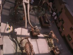 -陕西自然博物馆