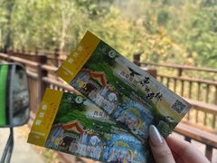 -野象谷景区