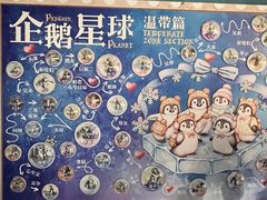 -海合安武汉极地海洋公园