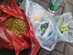 -红星农博物流中心