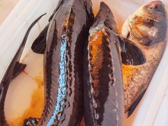 -江湖水乡铁锅炖魚(周庄嘉园店)