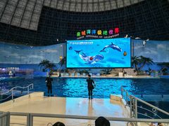 -泉城欧乐堡海洋极地世界
