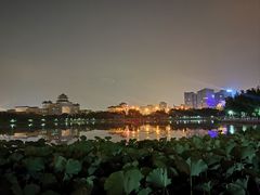 -莲花池公园