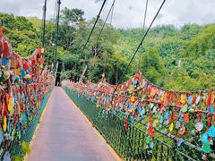 -西双版纳原始森林公园