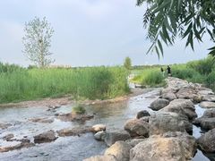 -绿堤公园